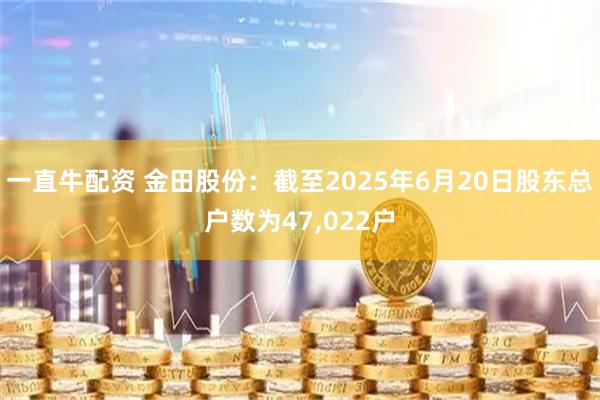 一直牛配资 金田股份：截至2025年6月20日股东总户数为47,022户