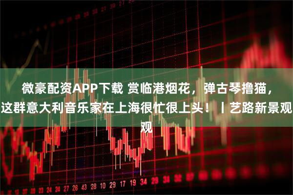 微豪配资APP下载 赏临港烟花，弹古琴撸猫，这群意大利音乐家在上海很忙很上头！丨艺路新景观