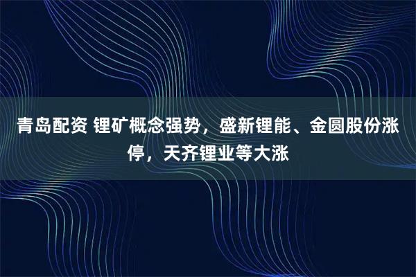 青岛配资 锂矿概念强势，盛新锂能、金圆股份涨停，天齐锂业等大涨