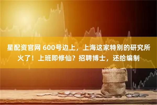 星配资官网 600号边上，上海这家特别的研究所火了！上班即修仙？招聘博士，还给编制